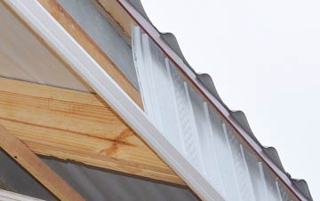 why Burrsville Park fascia repairs are essential