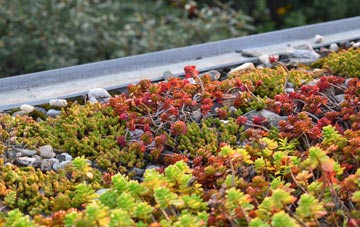 the cost of Burrsville Park green roof installation