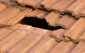 roof repair Burrsville Park, Essex